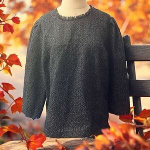 Ann Taylor Exclusive Line Professional Top / SZ: XL / NWT